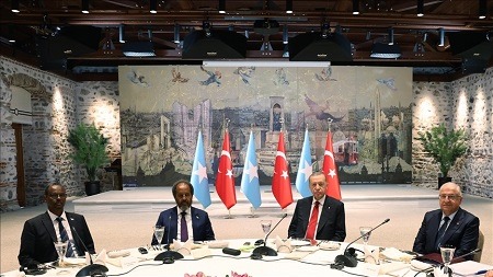 الرئيسان التركي والصومالي يبحثان العدوان الإسرائيلي على قطاع غزة