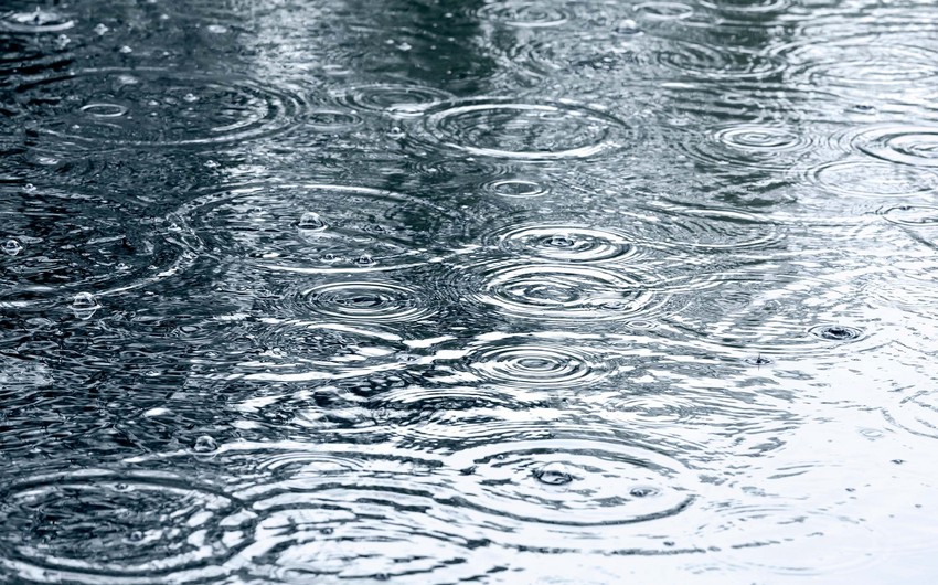 Интенсивные дожди нанесли урон хлопковым полям в Билясуваре
