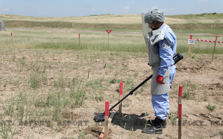 ANAMA: На освобожденных территориях обнаружена еще 81 мина
