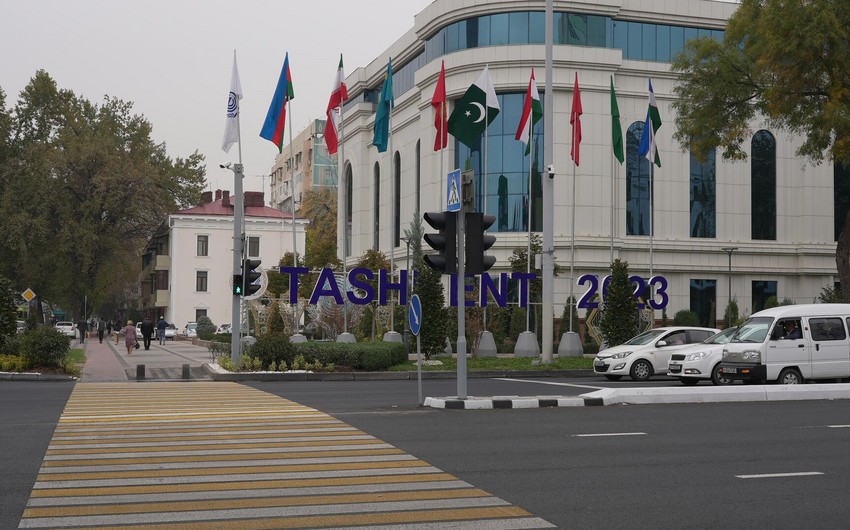 Tashkent to host OEC summit
