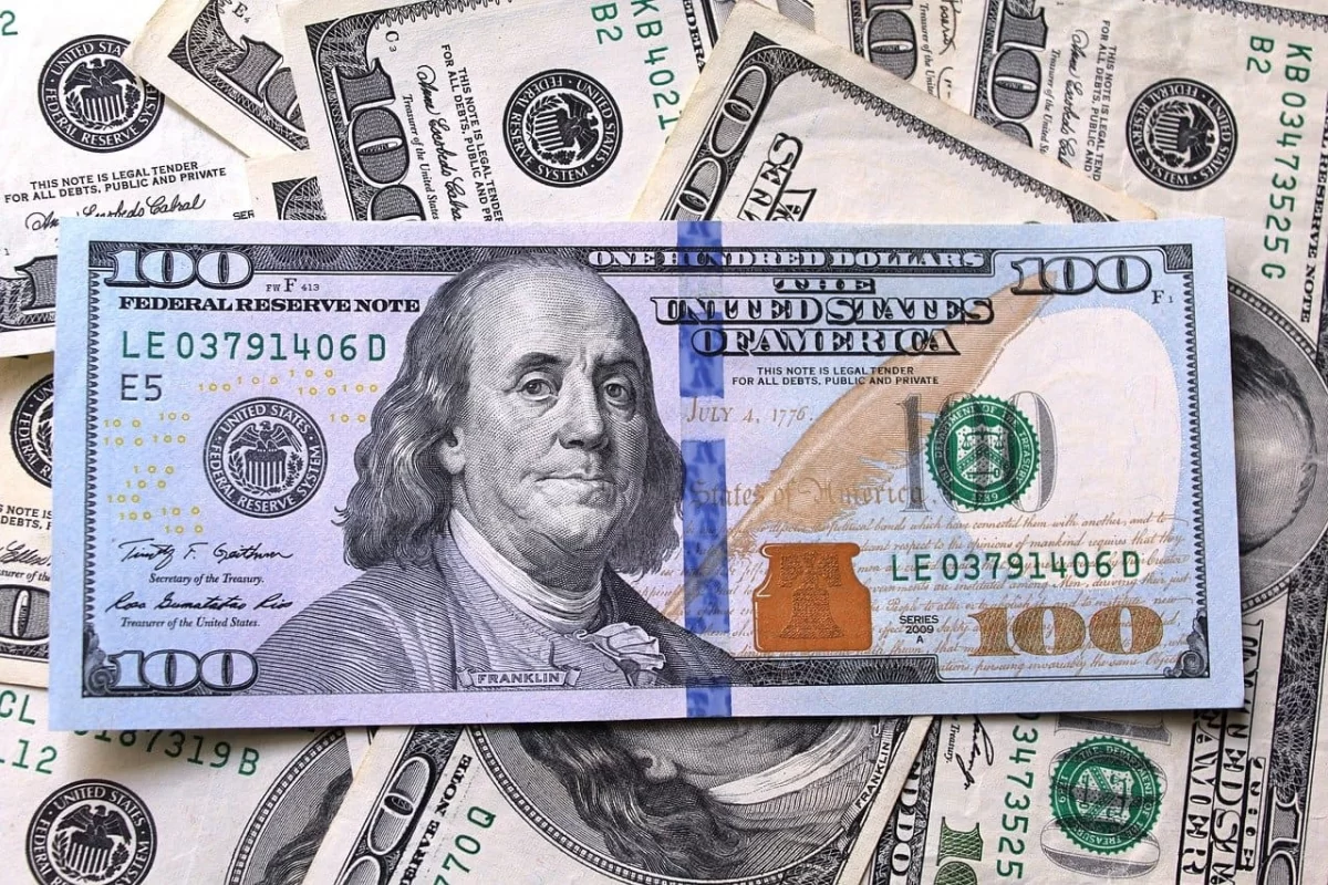 Keçən il Gürcüstandan Azərbaycana 66 milyon dollar vəsait köçürülüb