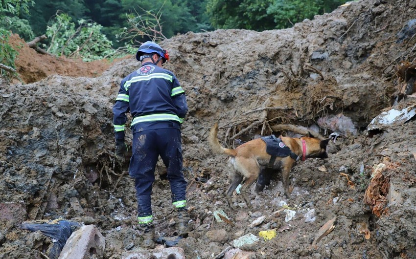 Губернатор: Из зоны стихийного бедствия в грузинской Гурии нужно переселить еще 306 семей