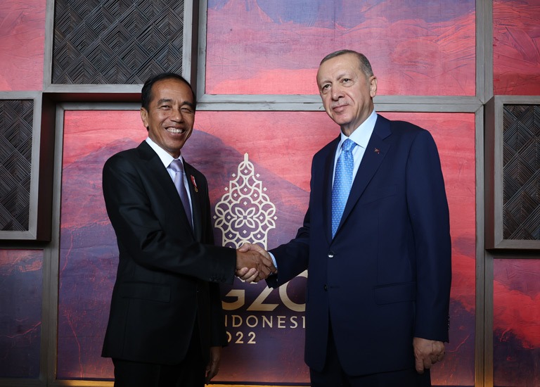 إندونيسيا وتركيا تتفقان على دعم الشعب الفلسطيني من أجل الاستقلال