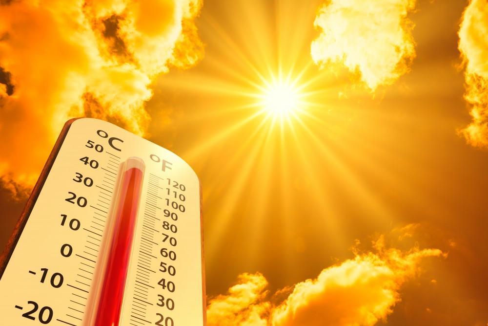 India faces surge in heatstroke cases, patients critical in Delhi hospital