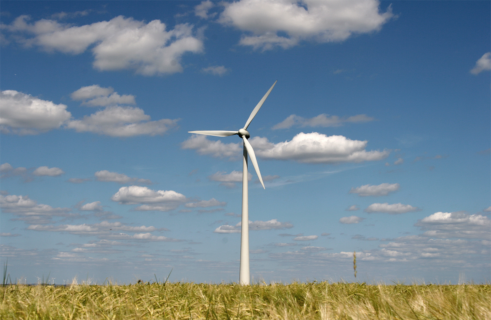 Azərbaycanda külək enerjisi istehsalı 58,5 dəfə artıb