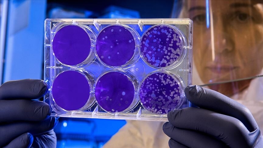 Hantavirus cases remain at 13, no new deaths reported in over month: WHO chief