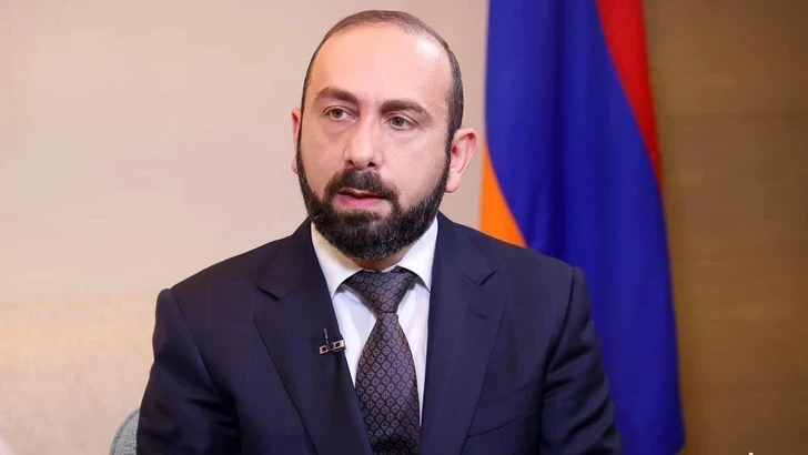 Мирзоян предложил пересмотреть право голоса для постоянно проживающих за рубежом
