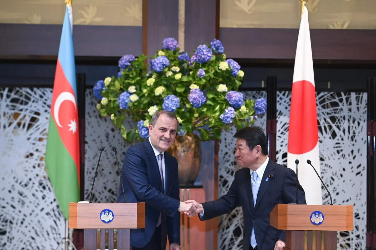 Azerbaijan and Japan discuss strengthening of energy cooperation