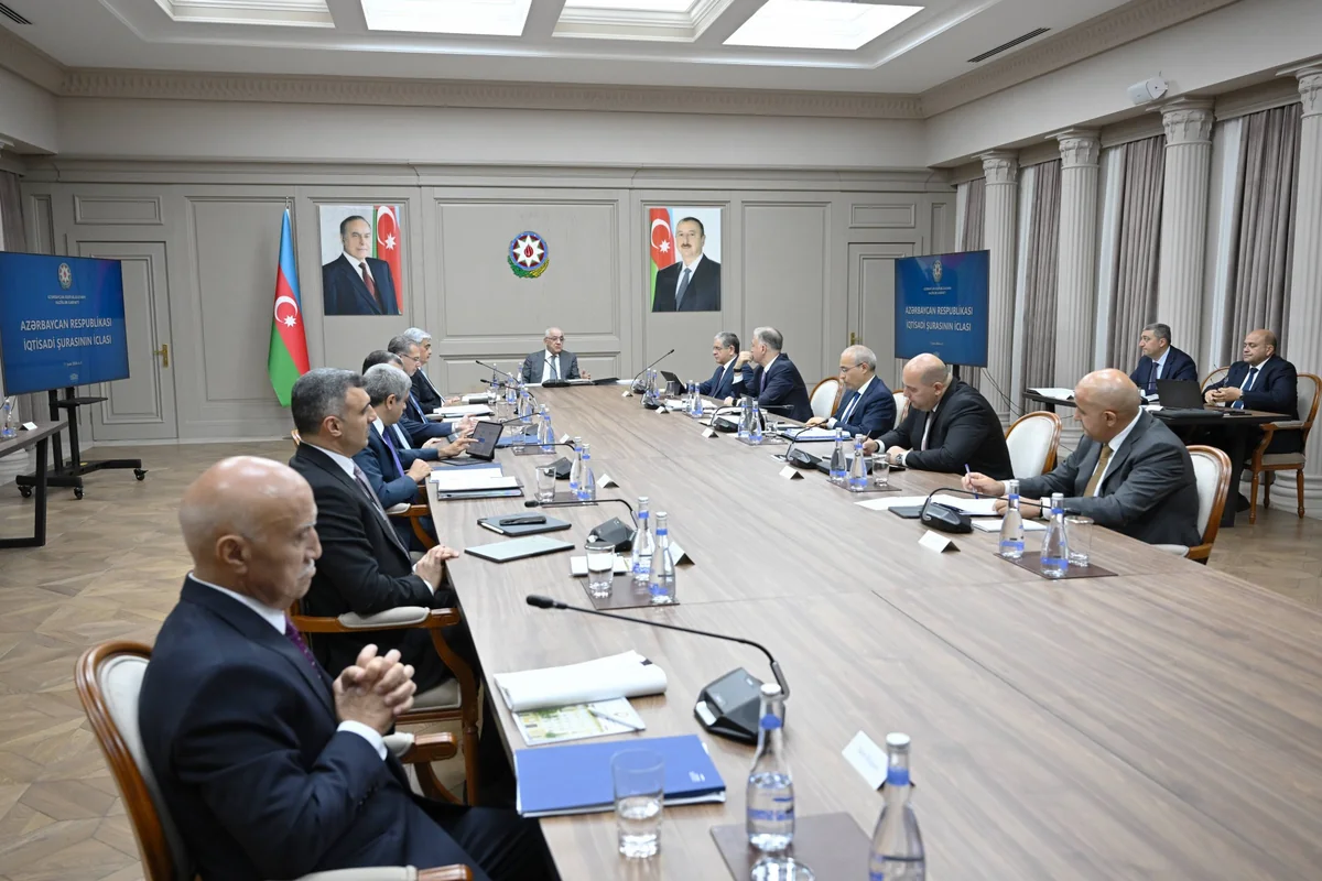 Azerbaijan's Economic Council reviews Alat Free Economic Zone progress | <span class="text-danger">PHOTOS</span>
