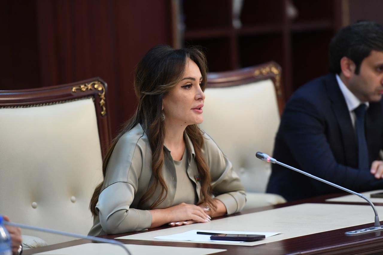 “15 iyun Azərbaycanın dövlətçilik tarixinə gələcəyin rəmzi kimi yazılıb” - MİLLƏT VƏKİLİ