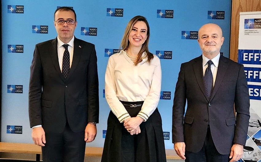 NATO, Azerbaijan discuss cooperation