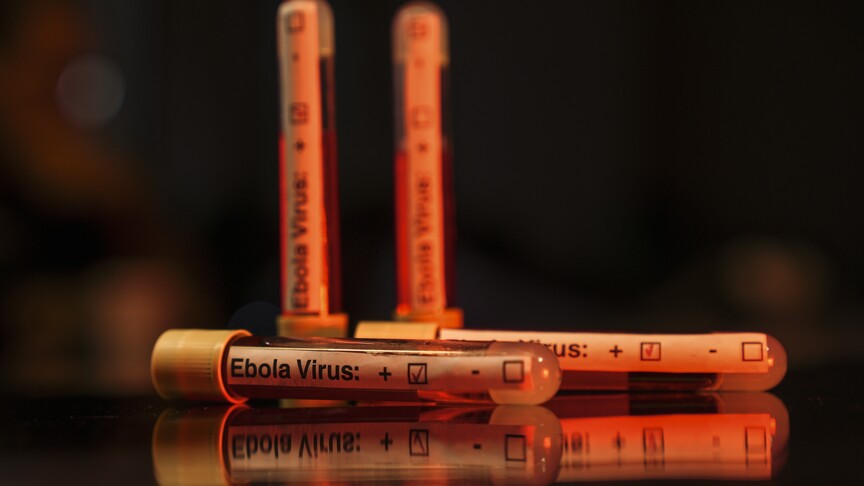 Current Ebola Outbreak Linked to Wildlife Spillover, <span class="text-danger">Scientists Say</span>
