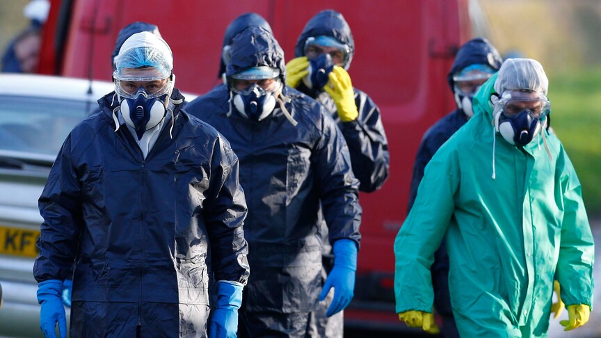 Australia reports first case of deadly case of H5 bird flu variant