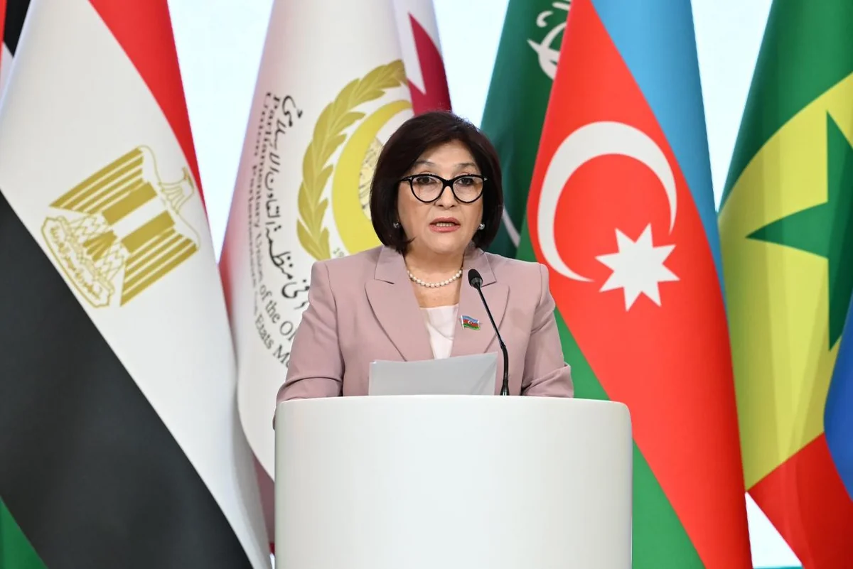Sahiba Gafarova: Islamic world still faces serious challenges