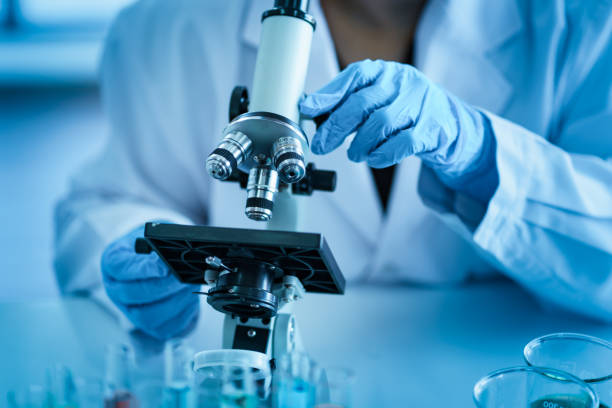 The Science Behind Mod GRF 1-29: A Modified Peptide for Endocrine Research | <span class="text-danger">Scientific Research</span>