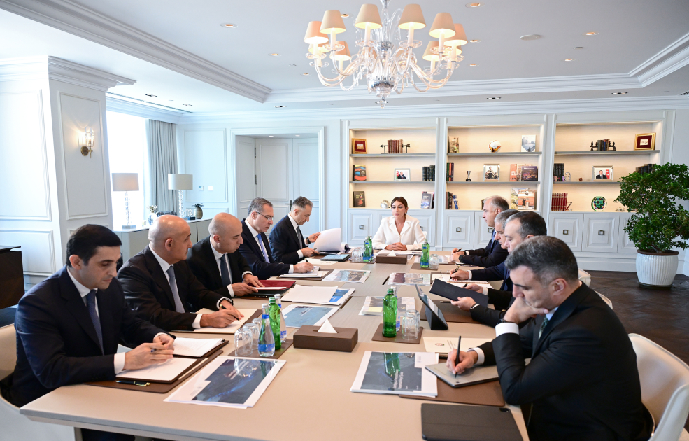 Mehriban Aliyeva Chairs First Meeting of Azerbaijan's Digital Development Council | <span class="text-danger">PHOTOS</span>