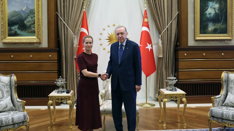 Ankarada Ərdoğan-Kaya Kallas görüşü keçirilib