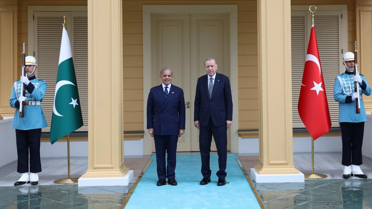 Şahbaz Şərif Ərdoğanla görüşdü - FOTO