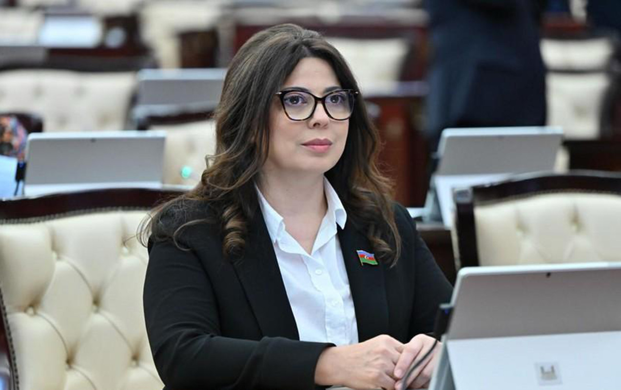 Xanım DEPUTATA AĞIR İTKİ
