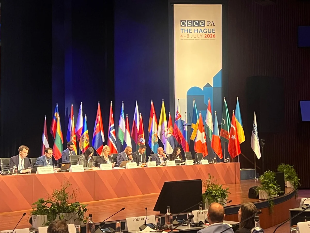 Azerbaijani MP calls for protecting digital sovereignty at OSCE PA session