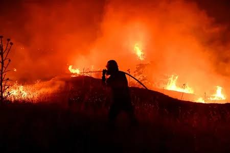 Лесной пожар на юго-западе Франции охватил 1,5 тыс. гектаров
