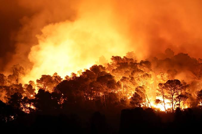 Wildfire in Southern France Burns 4,600 Hectares, Thousands Evacuated