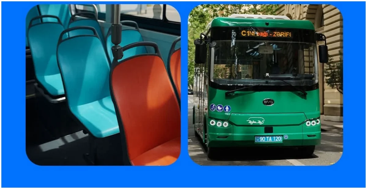 Bakının mərkəzində ödənişsiz avtobuslar