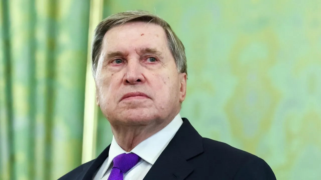 Уиткофф и Кушнер приедут в Москву в ближайшее время — Ушаков