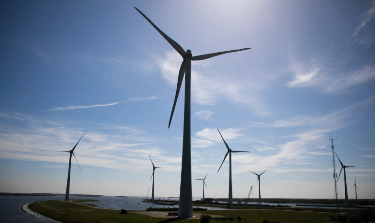 20 Wind Turbines Shut Down in Southwestern Netherlands After Sea Eagle Death