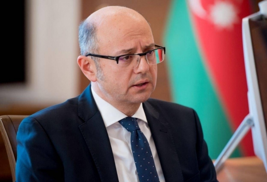 Azerbaijan supports balanced approach to energy transition - Minister