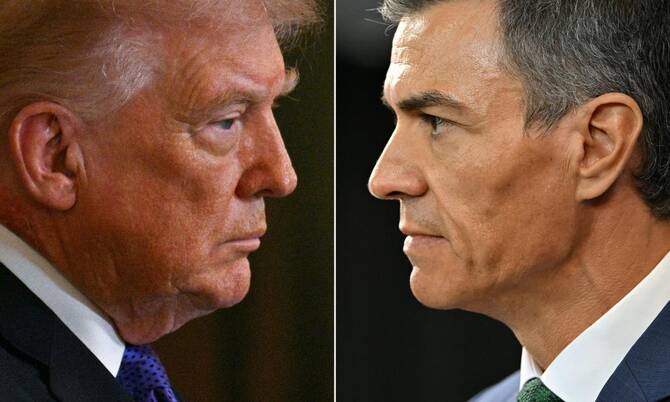 Трамп пригрозил Испании прекращением торговли — последовал ответ