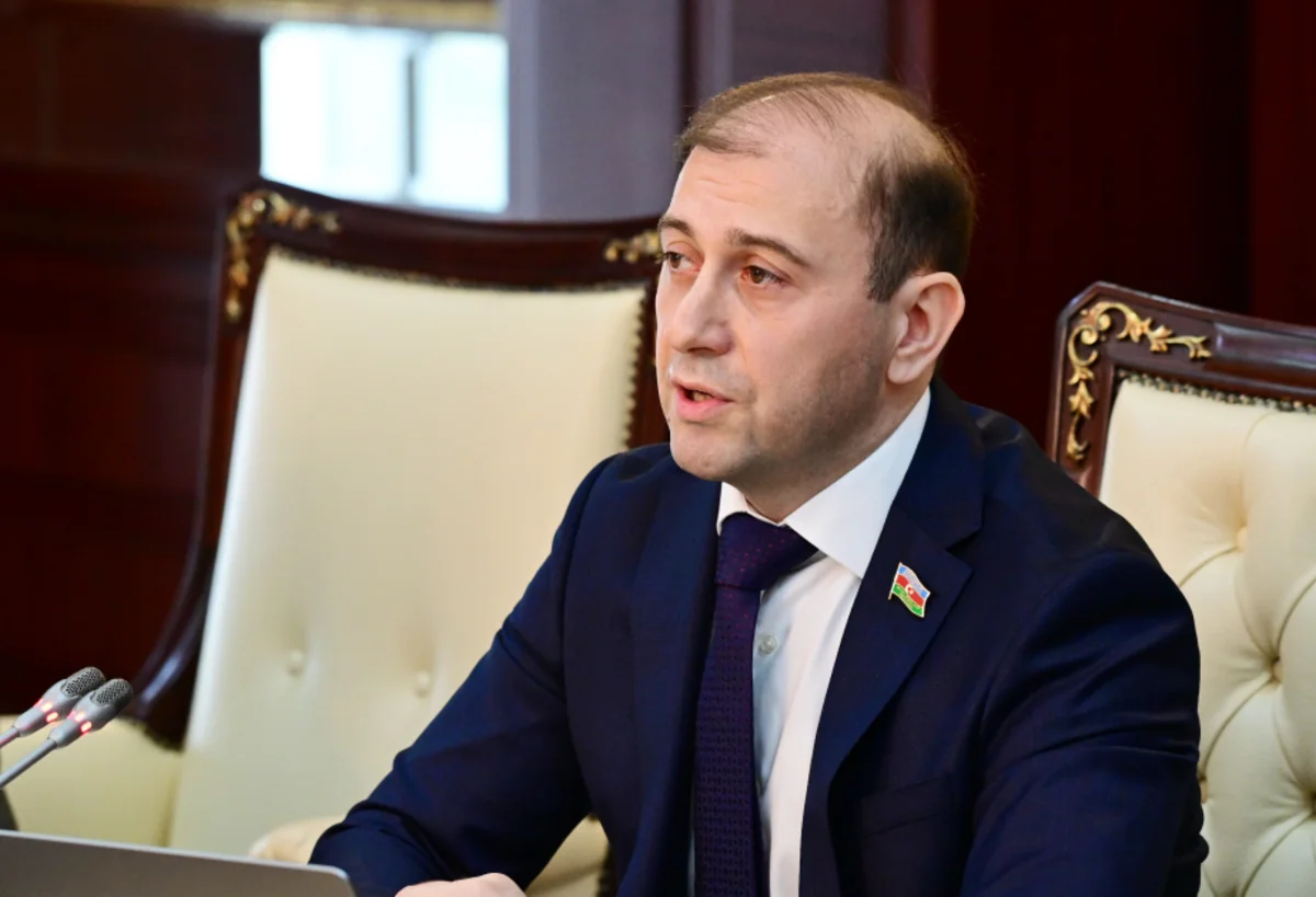Komissiya sədri: Kiberhücumların sayı sürətlə artır