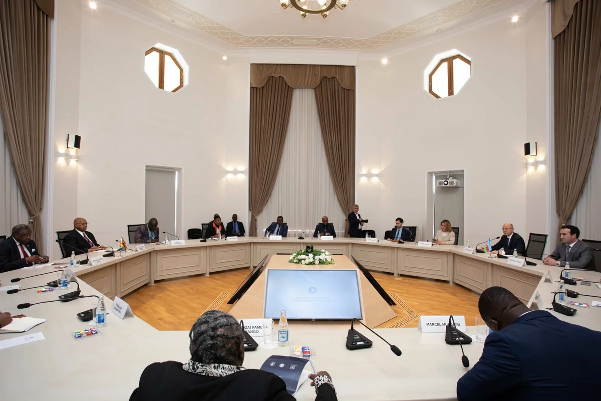Azerbaijan, Zimbabwe discuss energy cooperation | <span class="text-danger">PHOTOS</span>