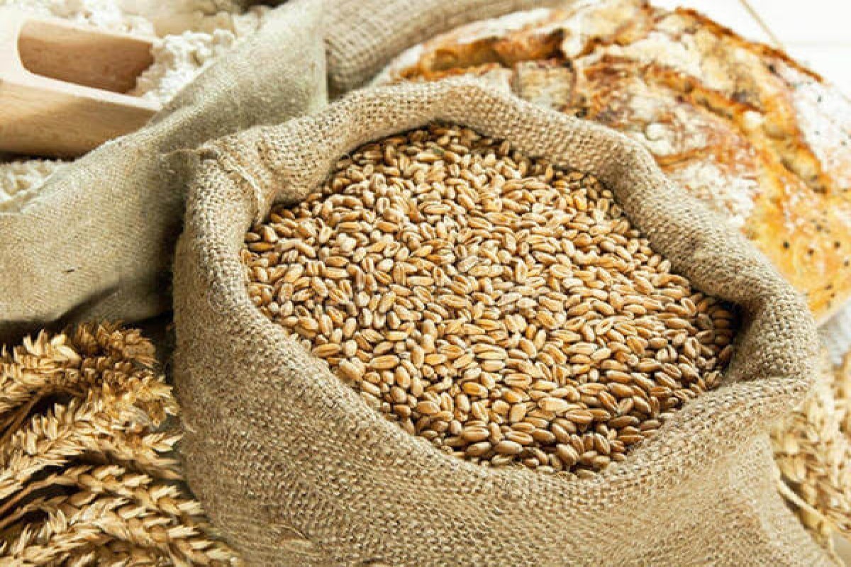 Toxumçuluq qaydalarını pozanları yeni cərimələr gözləyir