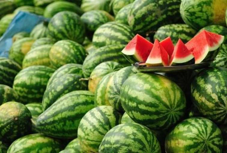 Gündə nə qədər qarpız yemək olar?