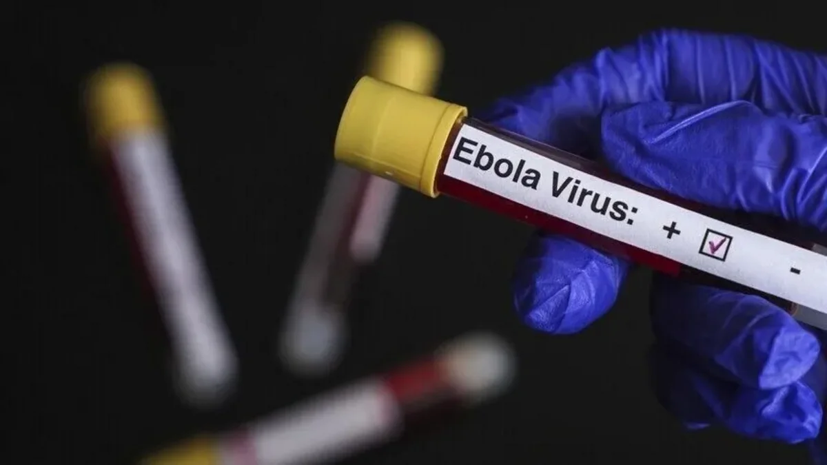 Ebola Cases in DR Congo Rise to 2,011 as Outbreak Continues