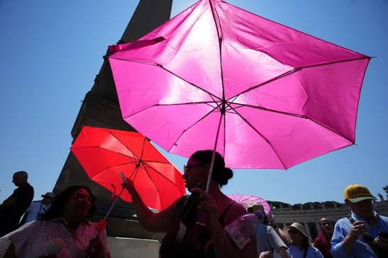 More than 900 excess deaths recorded during heat wave in Netherlands: Report