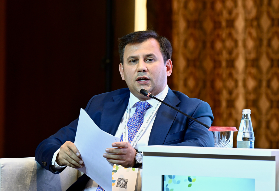 Fariz Əliyev: <span class="text-danger">"Bir Pəncərə" idxal-ixrac prosedurlarını sadələşdirəcək"</span>