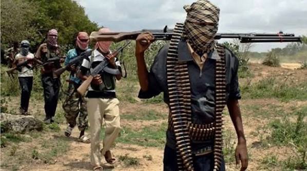 Over 1,000 flee as gunmen attack Nigeria's Benue community