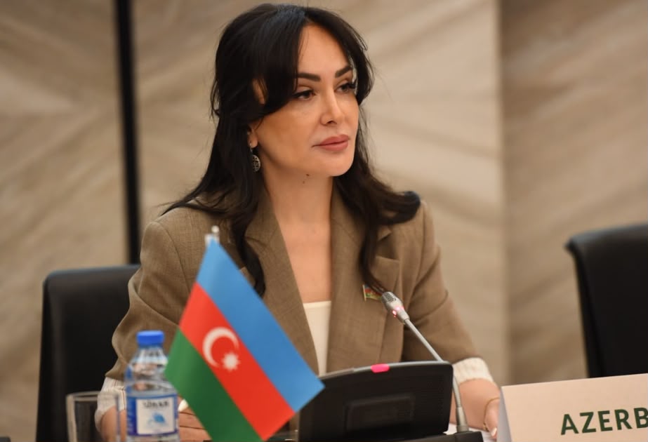 “Azərbaycan-Slovakiya münasibətləri yeni inkişaf mərhələsindədir” - <span class="text-danger">RƏY</span>