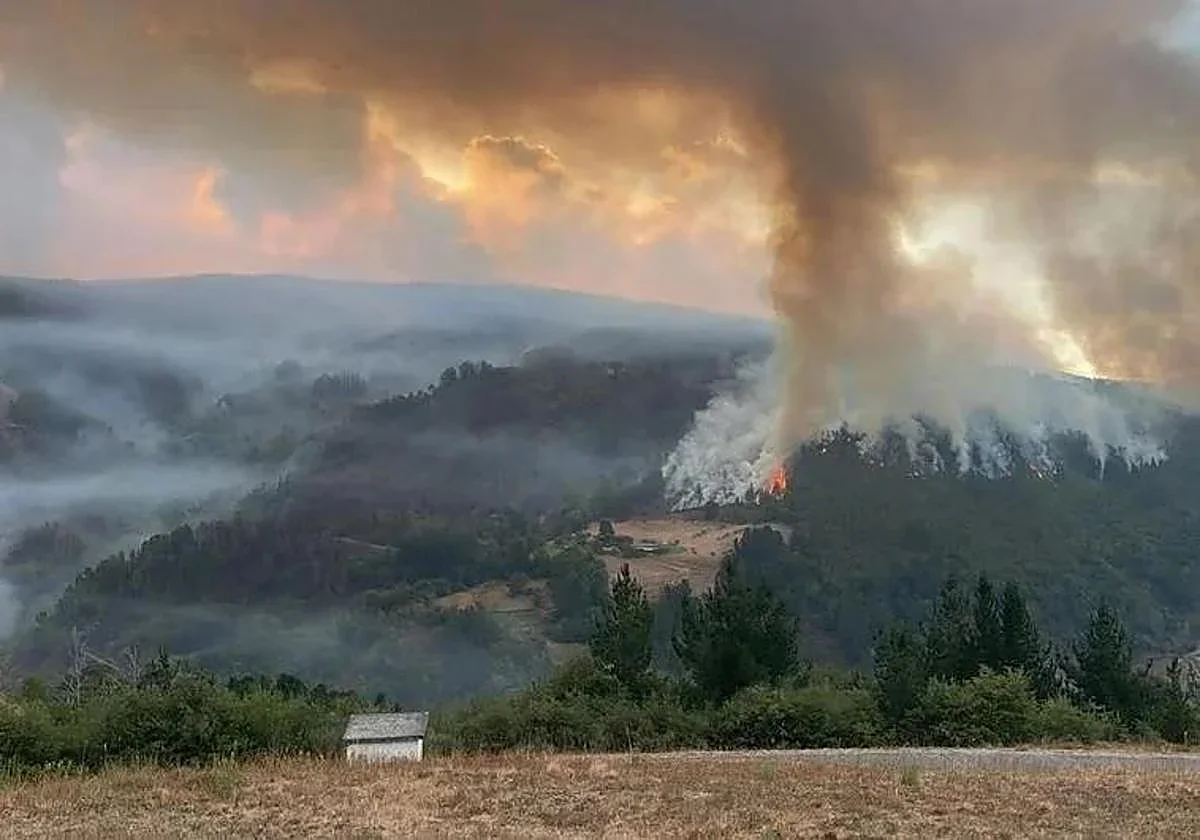 İspaniyada meşə yanğını <span class="text-danger">12 min hektar sahəyə çatıb</span>