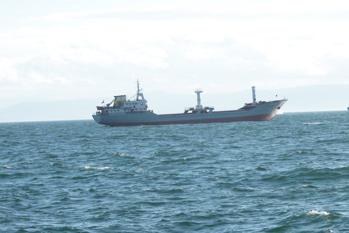 Turkish cargo ship sinks in Black Sea