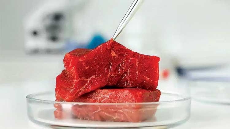 Artificial meat has been banned in Italy\