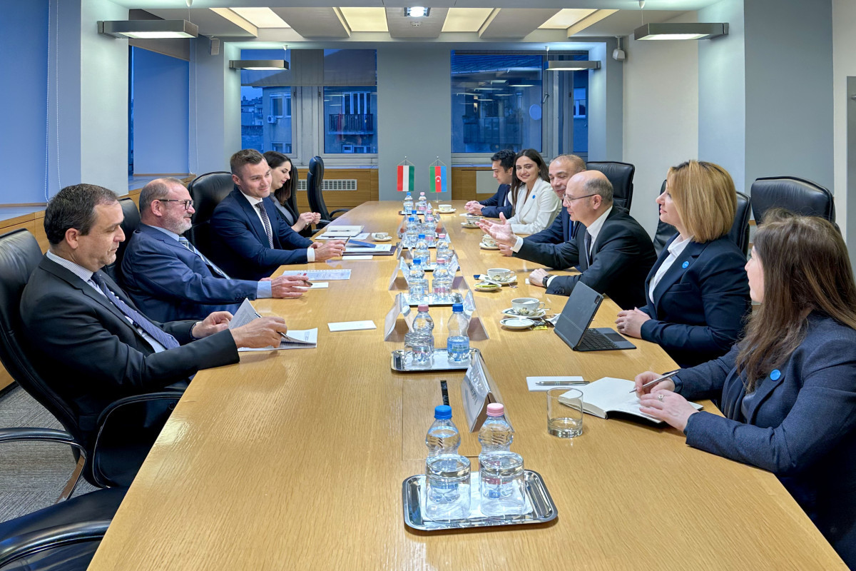 Baku and Budapesht discussed delivery of gas from Azerbaijan to Hungarian market