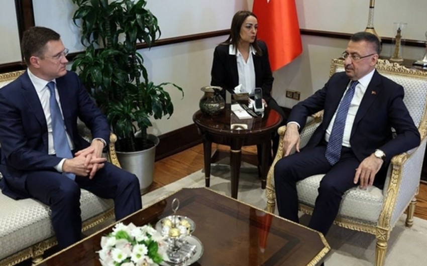 Russian Deputy PM discusses gas supply with Turkish Energy Minister v