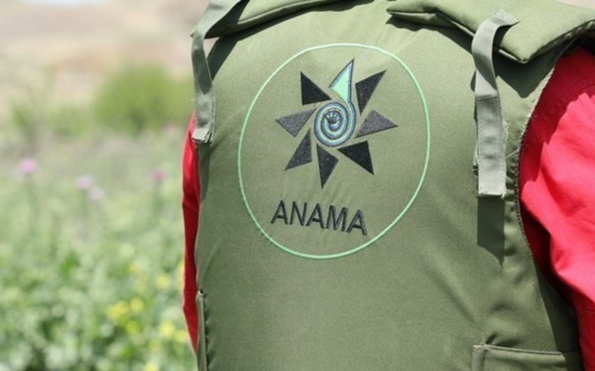 Number of ANAMA employees reaches 1,400