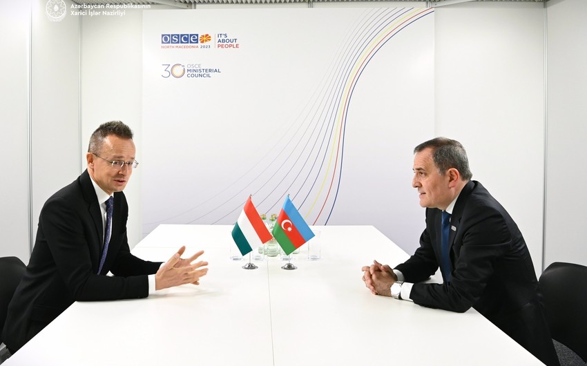 Jeyhun Bayramov meets with his Hungarian colleague