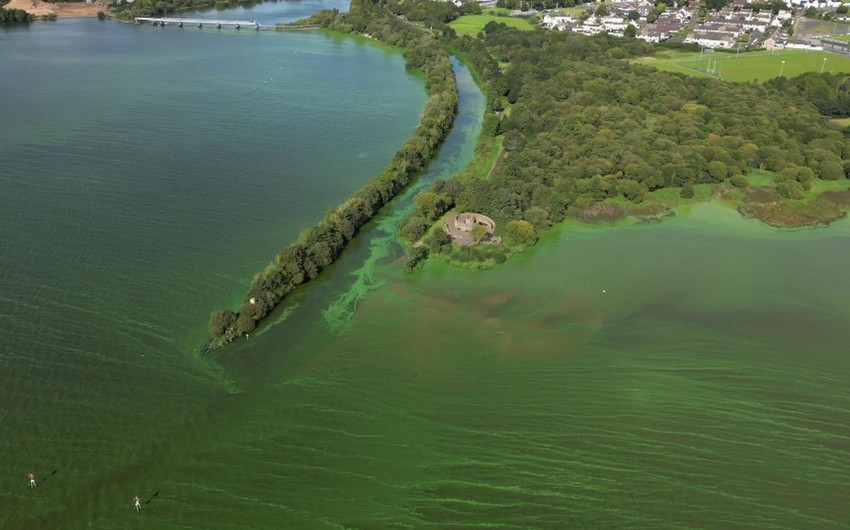 Largest lake in UK and Ireland being poisoned by toxic algae