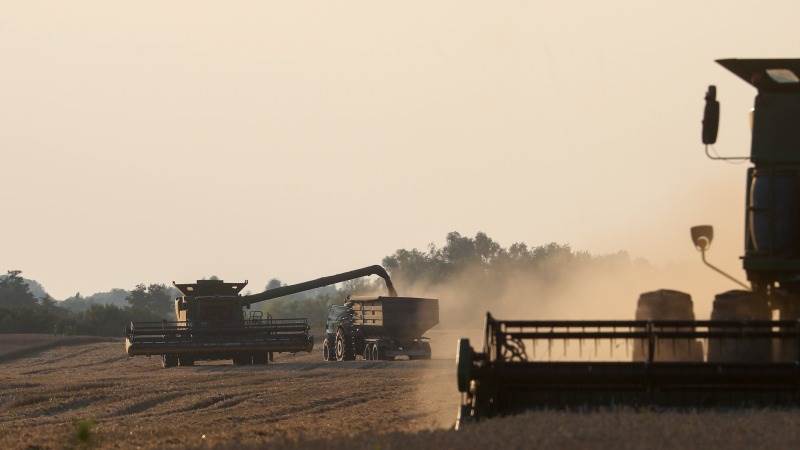 Ukraine to sue Poland, Hungary and Slovakia over grain bans