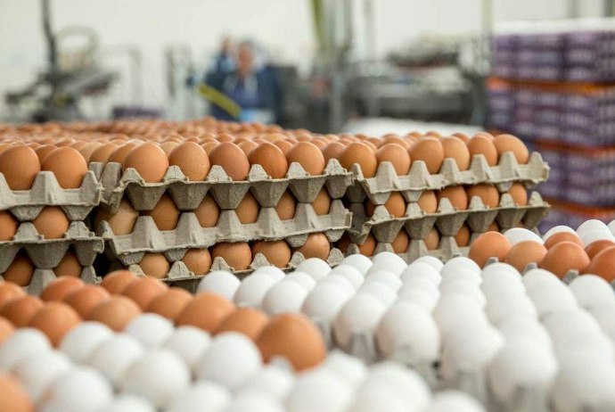 Azərbaycandan Rusiyaya 36 ton yumurta GÖNDƏRİLDİ